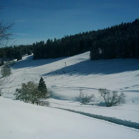 Lägenhet Ferienhaus Schworer Feldberg (Baden-Wurttemberg)